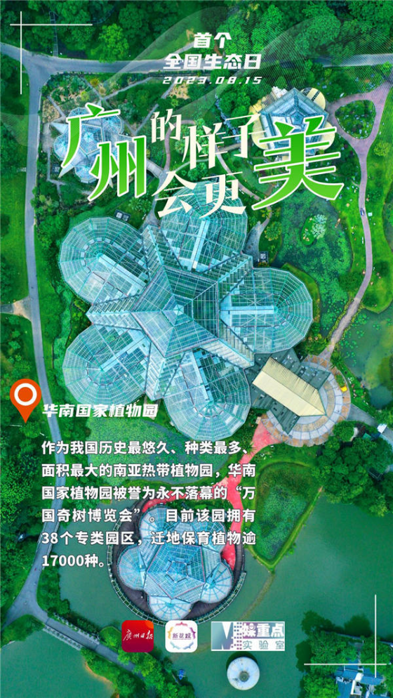 三亿体育app