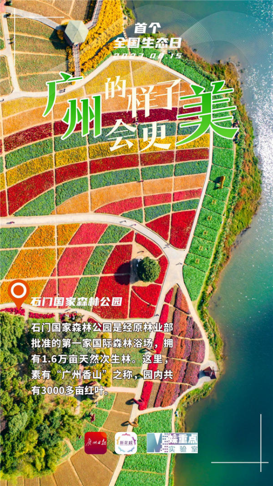 三亿体育app