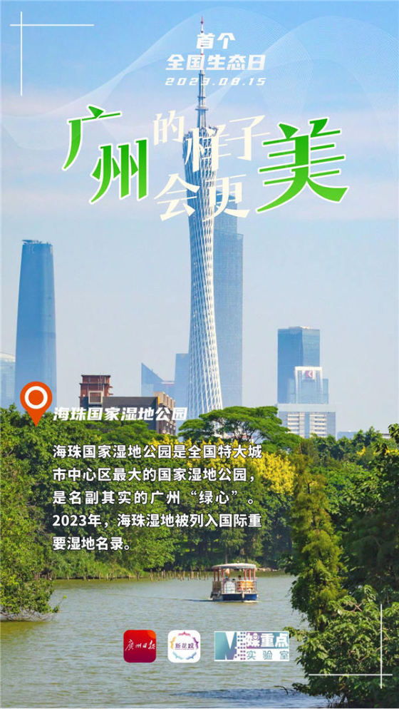 三亿体育app