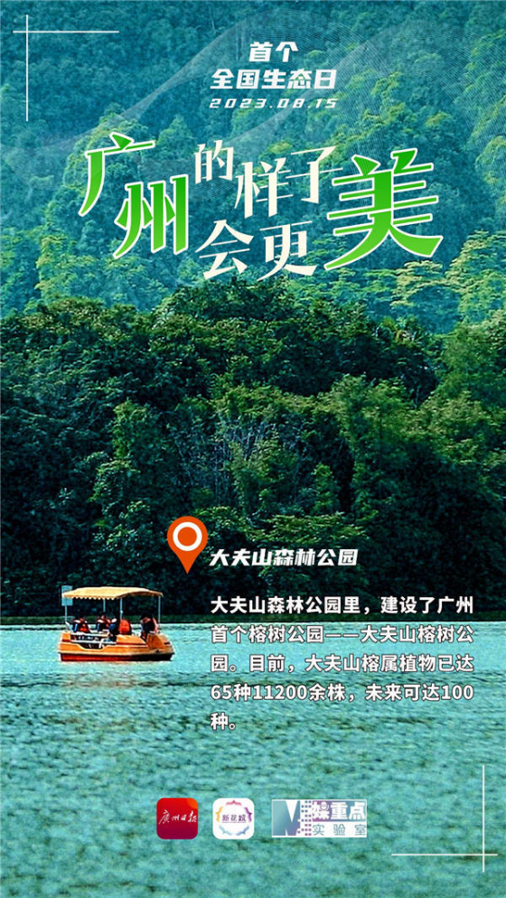 三亿体育app